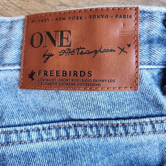 One x One Teaspoon Freebird Distressed Painted Rigid Skinny Jeans Ankle-Zip - Picture 13 of 13